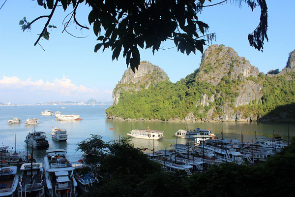 Halong Bay Full Day: Luxury cruise, Limousine Transfer; Caves; Kayaking
